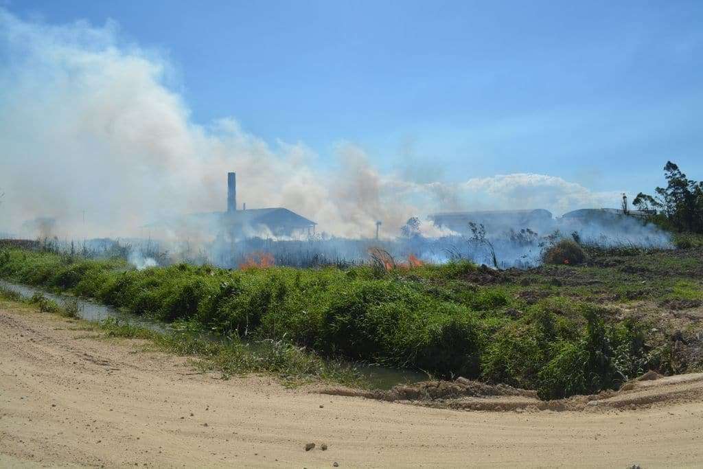 Fogo assusta moradores no Picadão Paladine