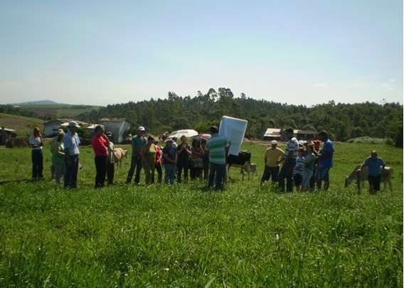 Epagri de Morro da Fumaça realiza oficina de sobressemeadura de pastagem