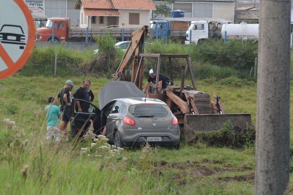 Vaca solta é atropelada na Rodovia Genésio Mazon, em Morro da Fumaça