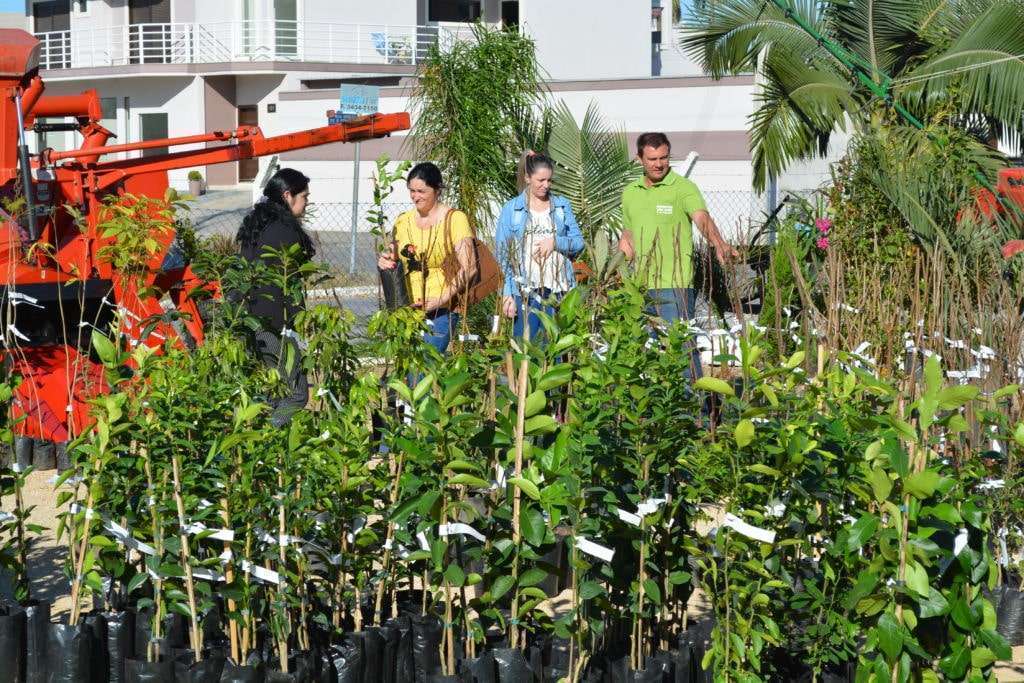 1,2 mil mudas frutíferas e ornamentais à venda na Feira da Epagri