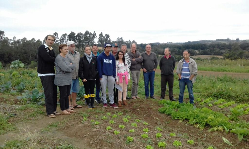 Epagri leva conhecimento a produtores de hortaliças e verduras