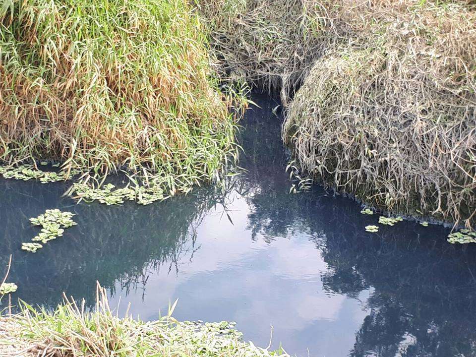 Fumaf investiga crime ambiental em Morro da Fumaça