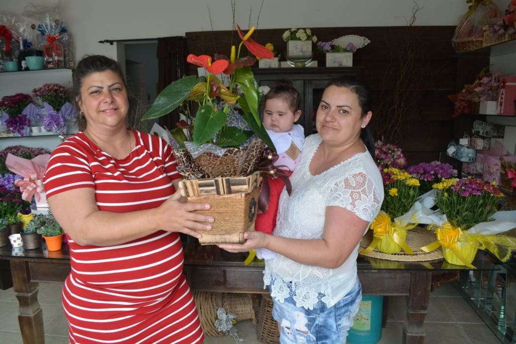 Casa das Flores espera aumento nas vendas para o Dia de Finados