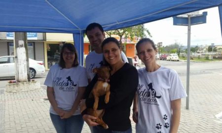 ONG Vida de Cão busca apoio da comunidade fumacense em prol dos animais