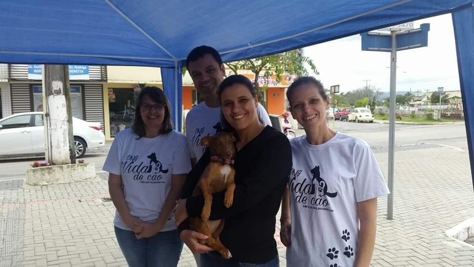 ONG Vida de Cão busca apoio da comunidade fumacense em prol dos animais