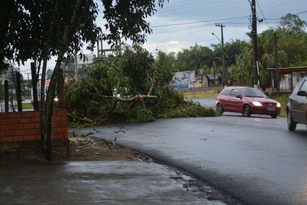 Temporal causa destruição em Morro da Fumaça