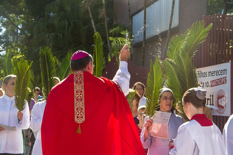 Domingo de Ramos marca início da Semana Santa para os católicos