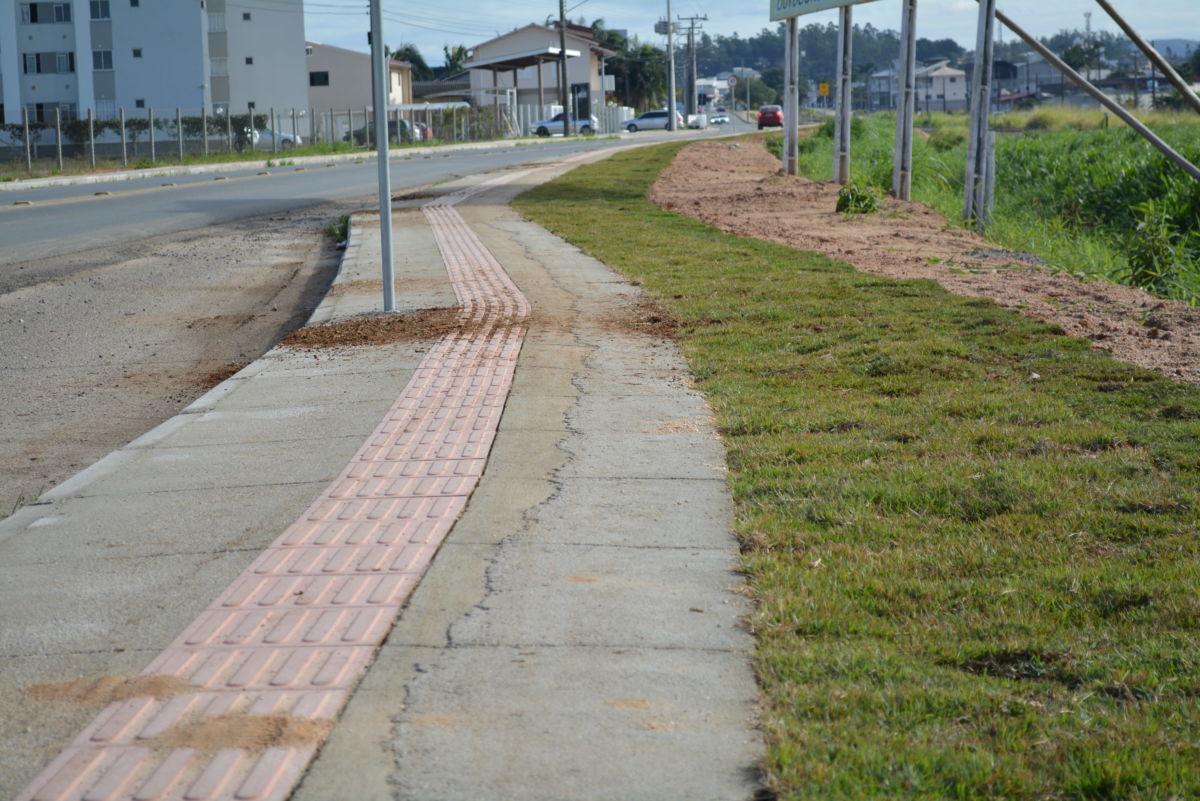 Margens da Avenida Celeste Recco recebem gramado