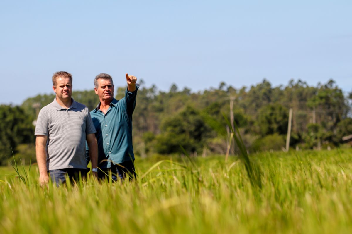 Sicredi promove debate sobre a agricultura regional na Agroponte 2018