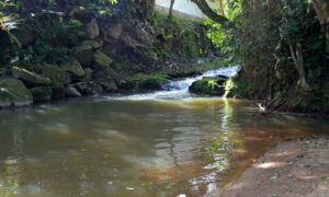 Etapa conta com a participação da sociedade na elaboração do Plano de Recursos Hídricos da Bacia do Rio Urussanga
