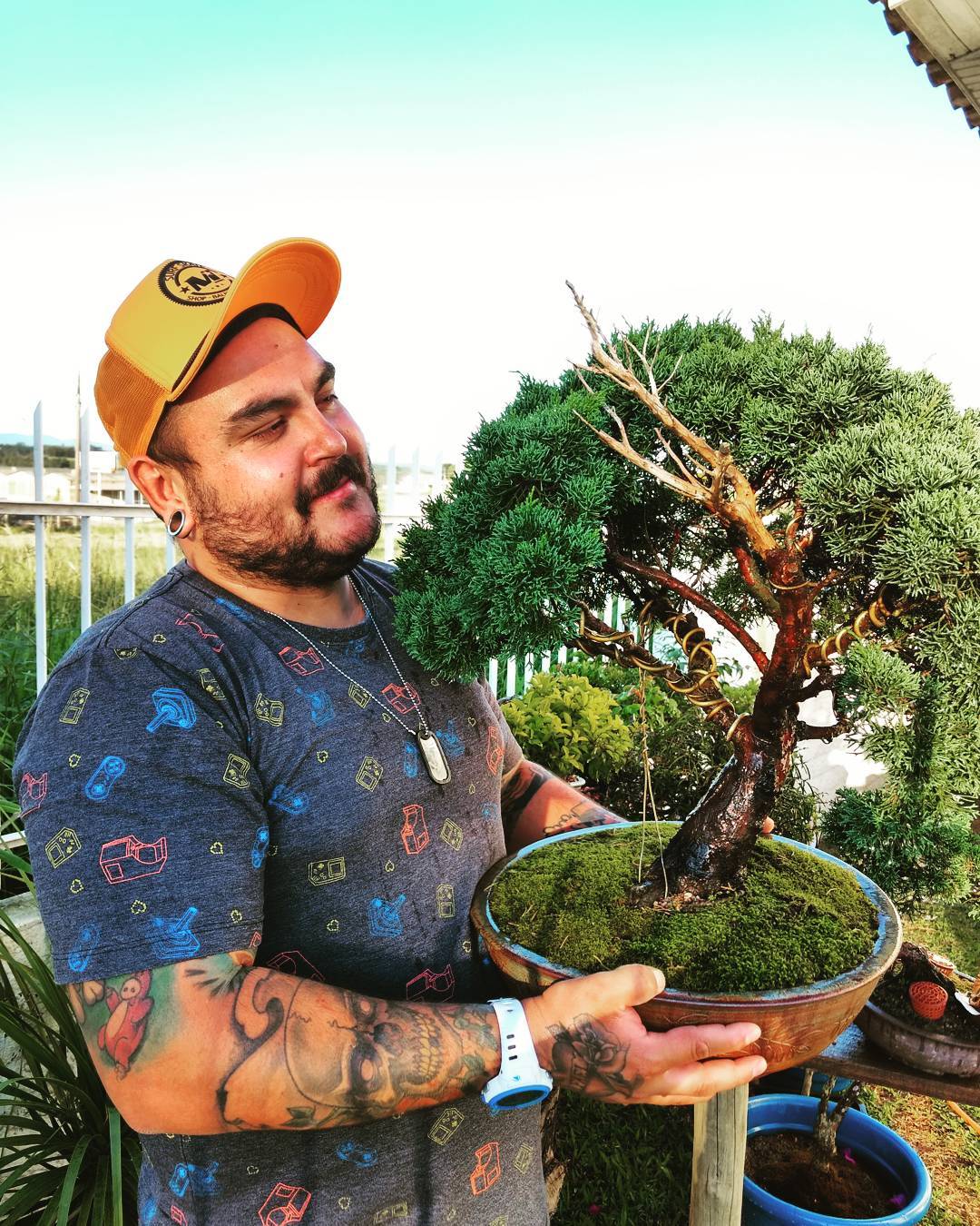Exposição de bonsai acontece em Criciúma