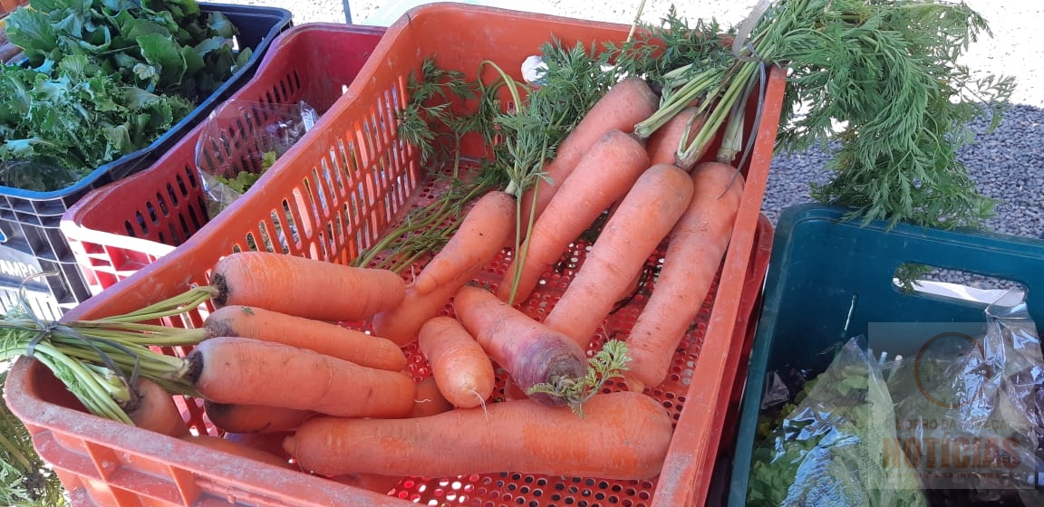 Feira semanal fortalece produtos da agricultura familiar