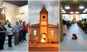 Festa em Honra a Santa Luzia é sucesso de público