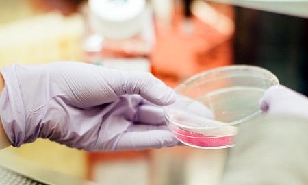 Convênio renovado garante exames de DNA gratuitos por mais 6 meses em Santa Catarina