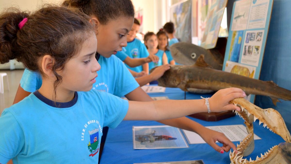 Museu marinho chega a Morro da Fumaça