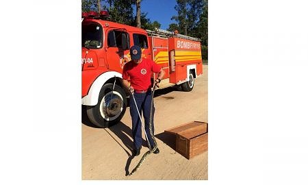 Corpo de Bombeiros captura cobra de quase dois metros