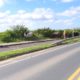 Cavalos soltos colocam em risco a segurança de motoristas na Rodovia Olívio Cechinel
