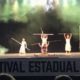 Apae de Morro da Fumaça conquista 1º lugar no Festival Estadual Nossa Arte, em Joinville