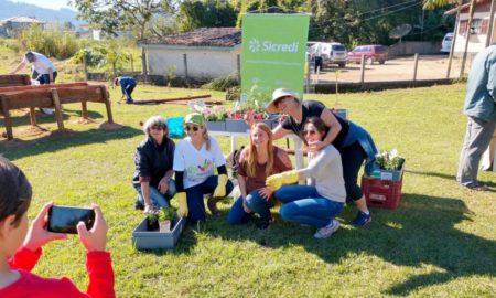 Sicredi mobiliza rede voluntária no Dia de Cooperar