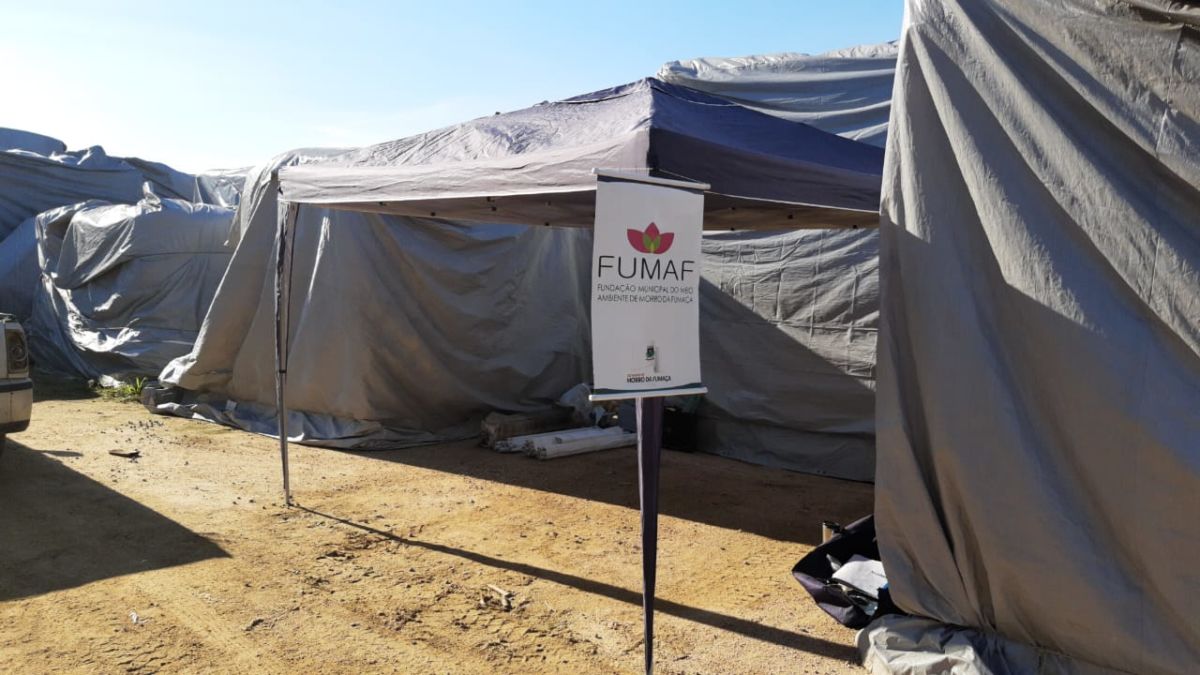 Fumaf faz coleta de lâmpadas durante Feira de Mudas