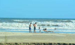 Calor leva veranistas à Praia da Esplanada