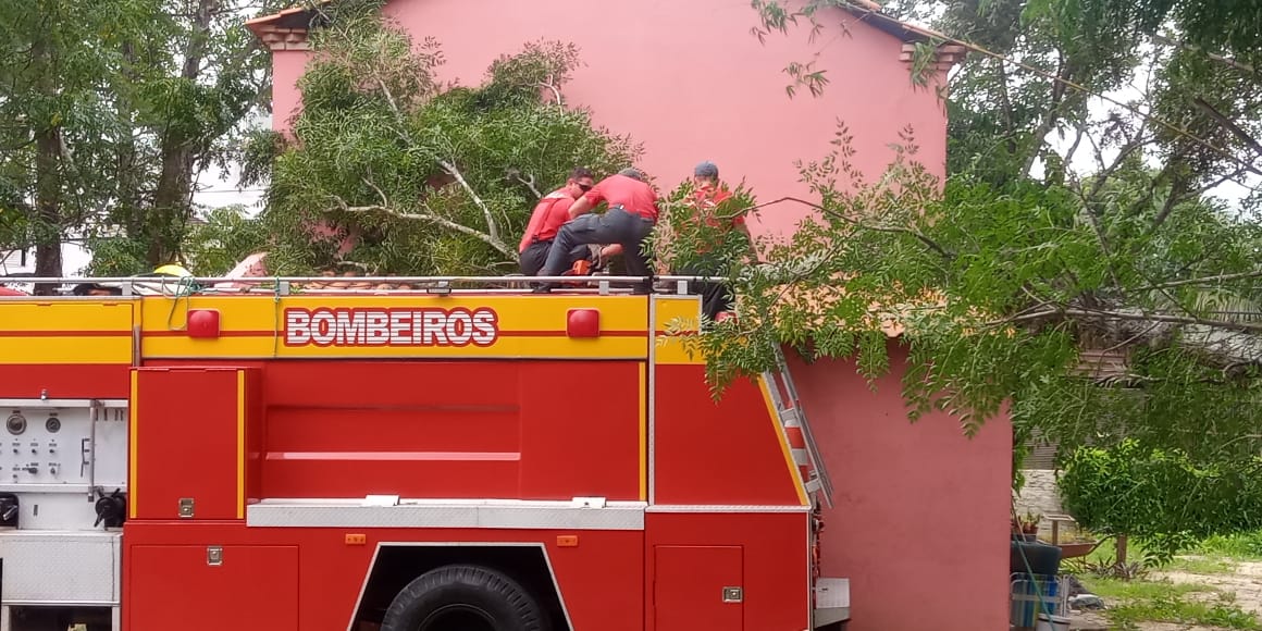 Corpo de Bombeiros retira árvore caída sobre residência e veículo