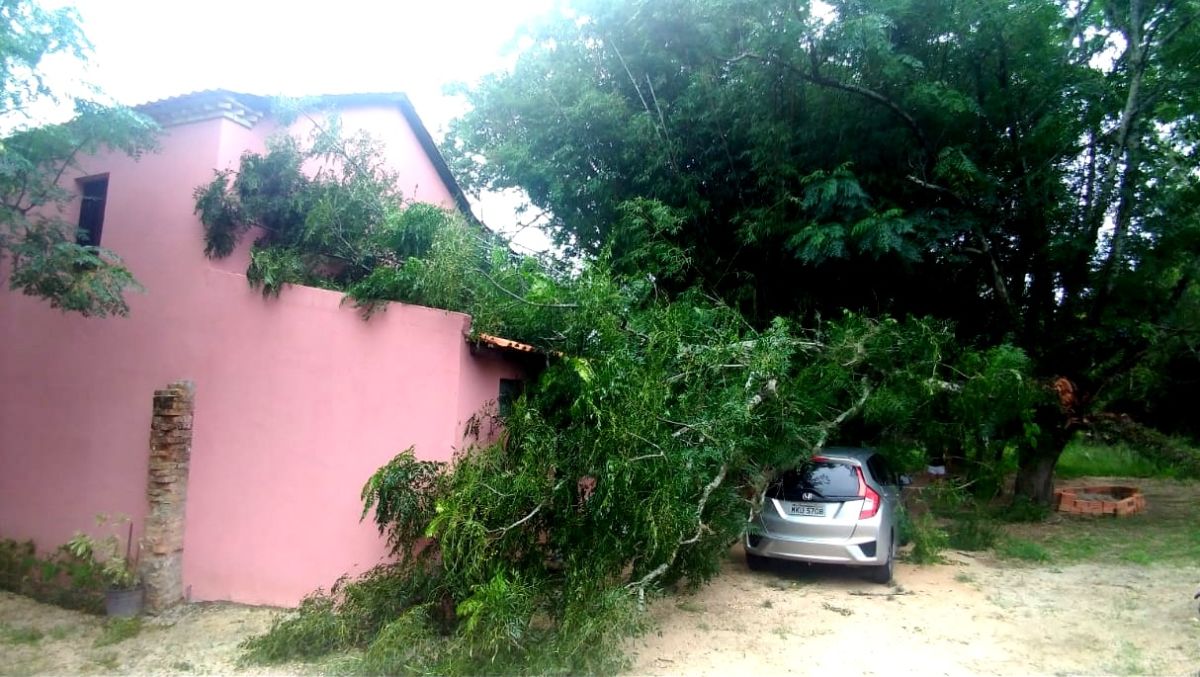 Corpo de Bombeiros retira árvore caída sobre residência e veículo