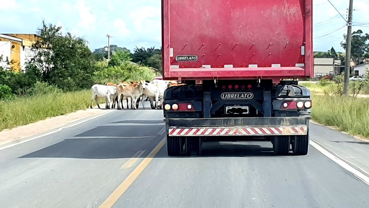 Flagrante de perigo nas estradas de Morro da Fumaça