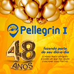 Posto Pellegrin