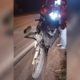 Motociclista “colide” com vaca e é conduzido ao hospital