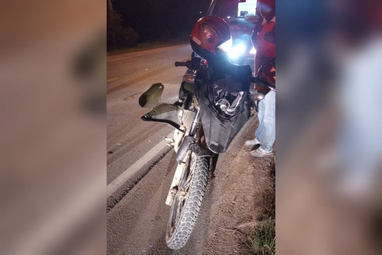 Motociclista “colide” com vaca e é conduzido ao hospital