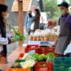 Quarta-feira é dia de Feira da Agricultura Familiar em Morro da Fumaça