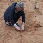 Moradores plantam flores e árvores em revitalização de terreno baldio