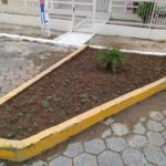 Moradores plantam flores e árvores em revitalização de terreno baldio