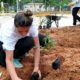 Moradores plantam flores e árvores em revitalização de terreno baldio