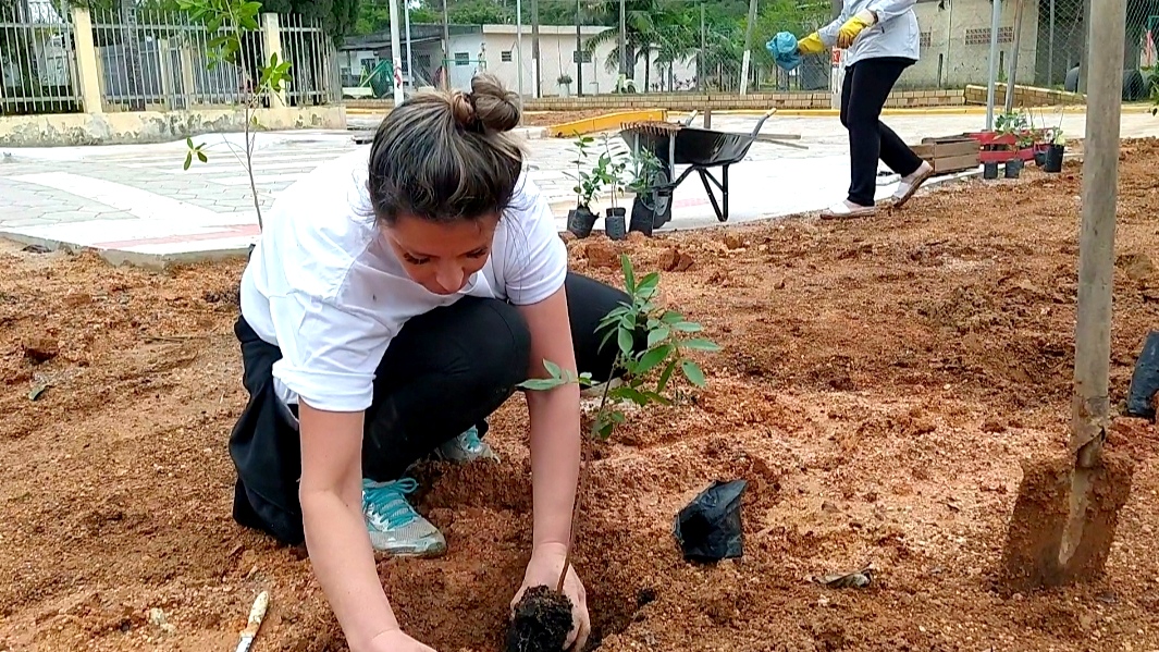 Moradores plantam flores e árvores em revitalização de terreno baldio