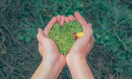 Tecnologia envolve população brasileira no desenvolvimento sustentável do país