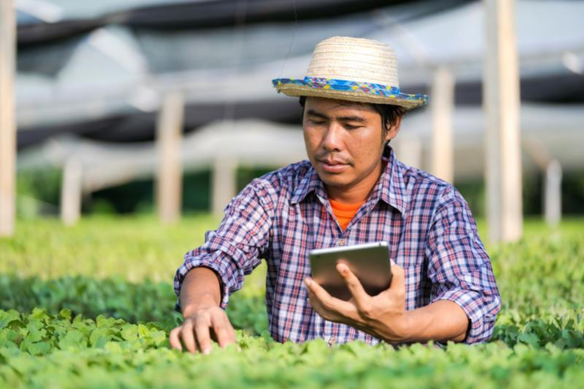 Tecnologia envolve população brasileira no desenvolvimento sustentável do país