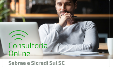 Sicredi Sul SC e Sebrae abrem inscrições para Consultoria Empresarial Online