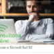 Sicredi Sul SC e Sebrae abrem inscrições para Consultoria Empresarial Online