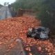 Acidente com caminhão de Morro da Fumaça deixa dois mortos no RS