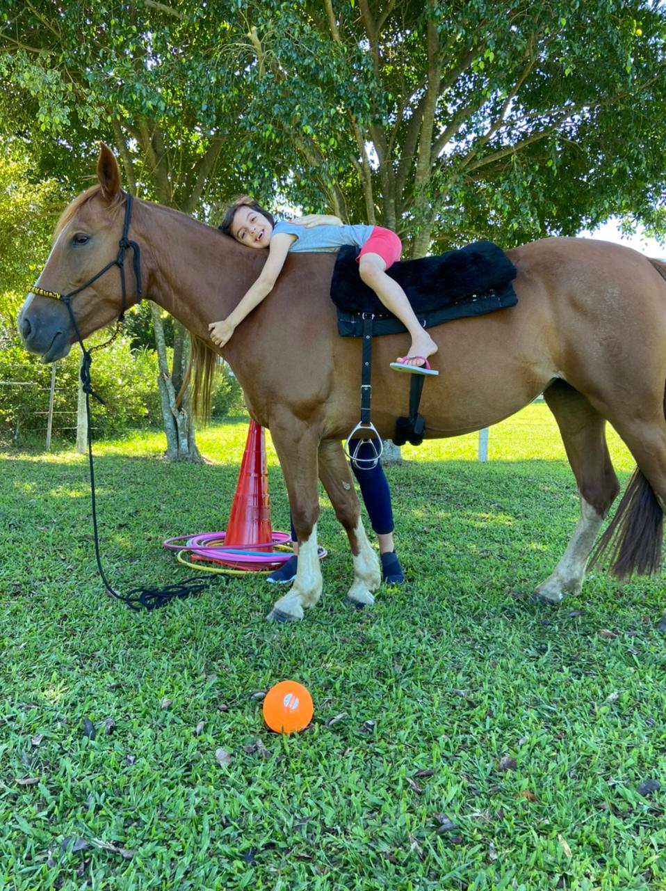 Morro da Fumaça conta com novo espaço para Equoterapia