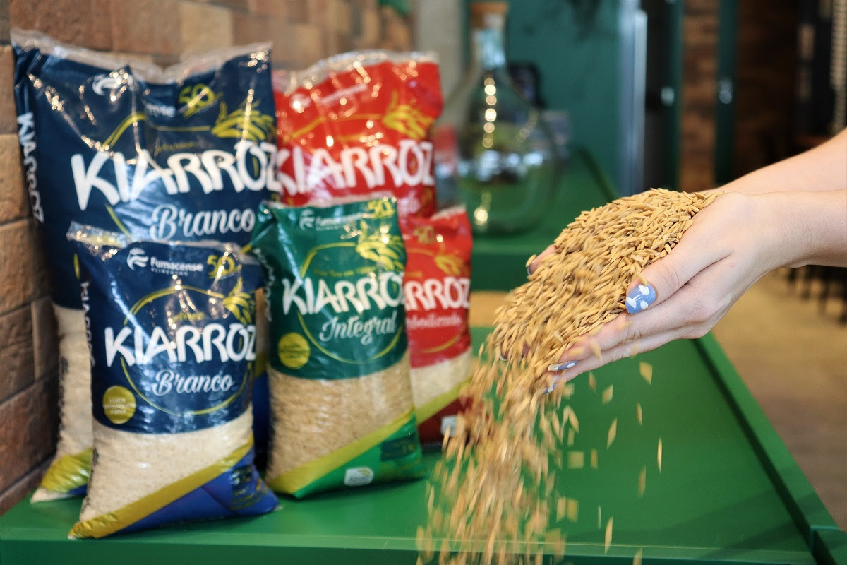 Início da colheita de arroz traz boas expectativas para a comercialização do grão