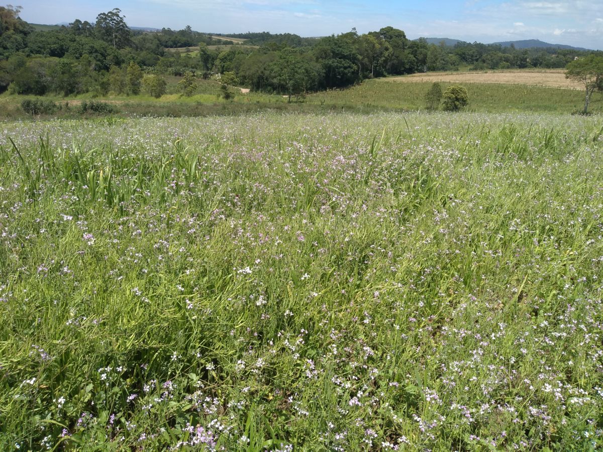 Kit Solo Saudável é oferecido aos agricultores de Morro da Fumaça