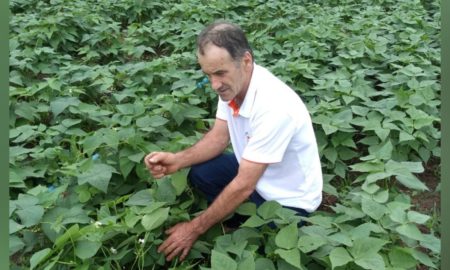 Mesmo na pandemia, Epagri de Morro da Fumaça mantém apoio permanente à agricultura familiar