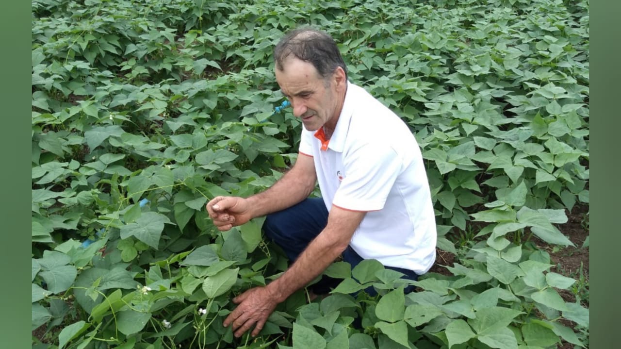 Mesmo na pandemia, Epagri de Morro da Fumaça mantém apoio permanente à agricultura familiar