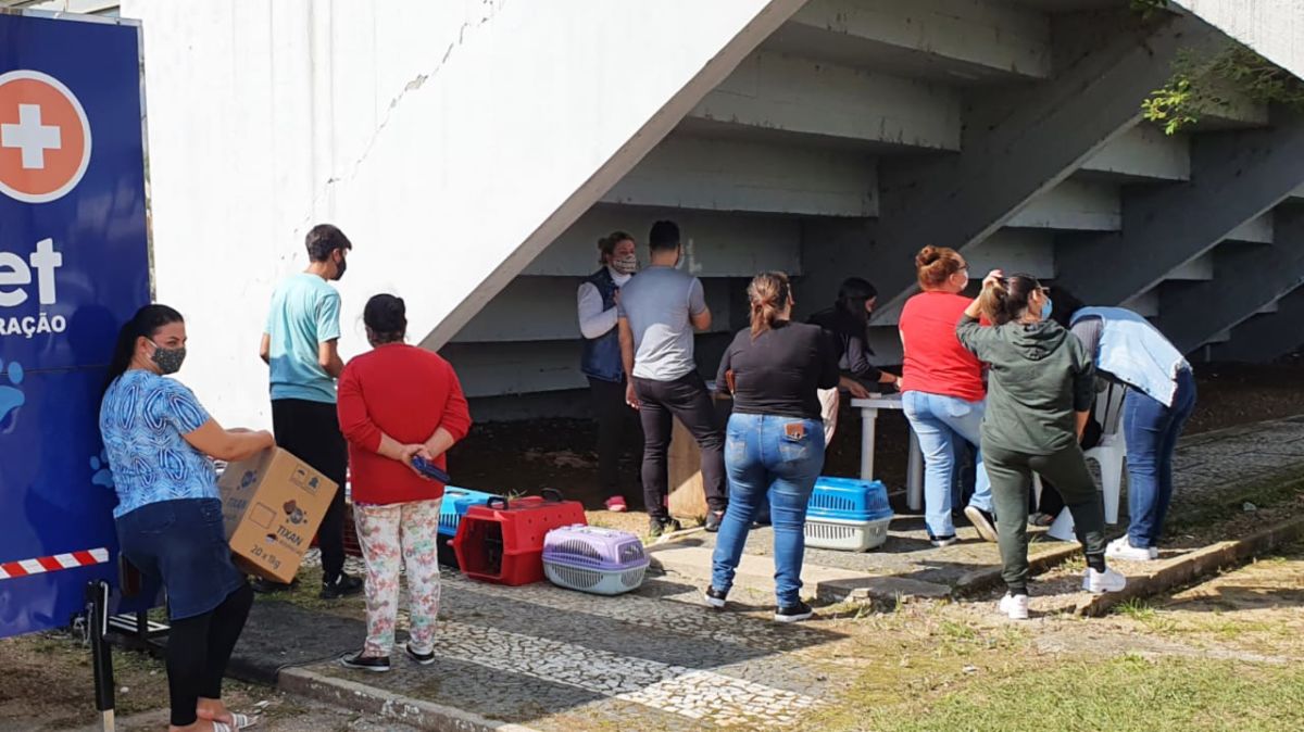 52 animais castrados em mutirão realizado pela ONG Vida de Cão