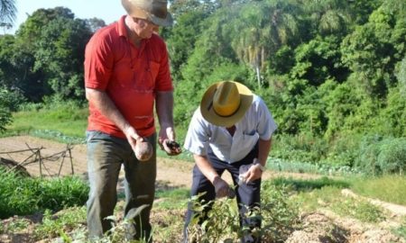 Curso de Ciências Contábeis da Unesc oferece formação gratuita para auxiliar produtores rurais