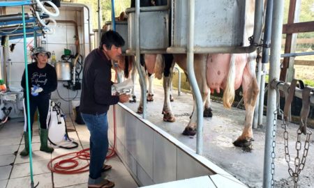 Família Cizeski acompanha a evolução da agricultura e projeta instalação de laticínio