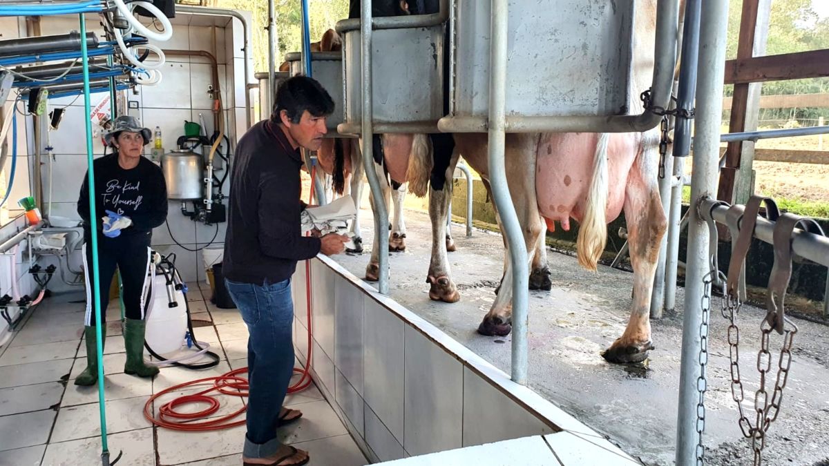 Família Cizeski acompanha a evolução da agricultura e projeta instalação de laticínio